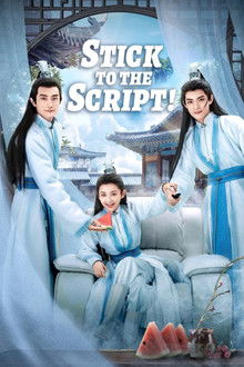 Stick to the Script! poster