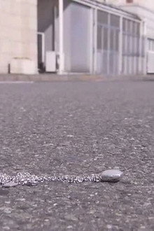 Sad Melody, Loving Memory