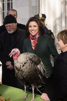 Thanksgiving