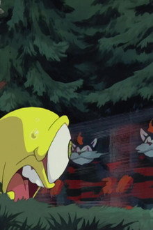 Battle In The Meadow