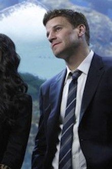 The Predator in the Pool