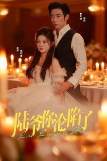 Falling for Mr. Lu poster