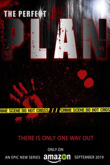 The Perfect Plan poster