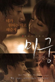 Maze: Secret Love poster