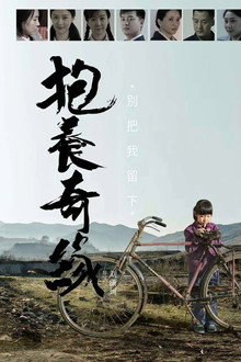 抱养奇缘 poster