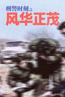 刑警时刻之风华正茂 poster