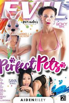 Perfect Pets poster