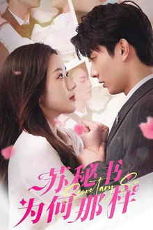 苏秘书为何那样 poster