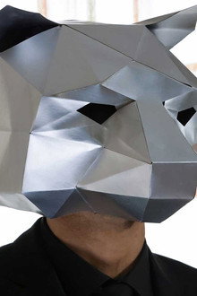 The Bear Mask