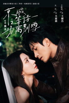 Waiting For A Farewell Snow poster