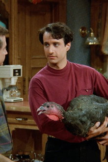Wild Turkey