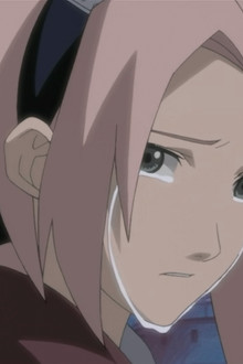 An Invitation from the Sound