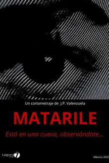 Matarile poster