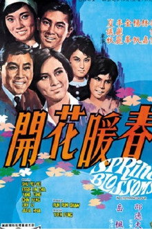 Spring Blossoms poster