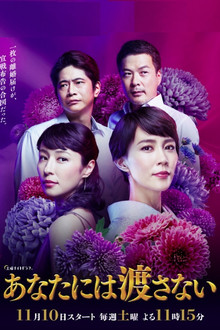 あなたには渡さない poster