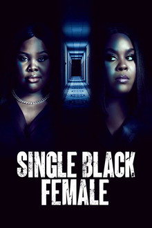 Single Black Female poster