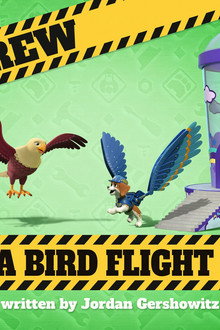 The Crew Builds a Bird Flight School
