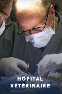 Hôpital vétérinaire poster