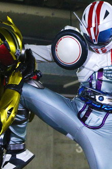 Why Must They Fight?