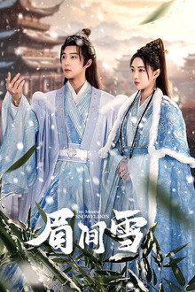 The Missing Snowflakes poster