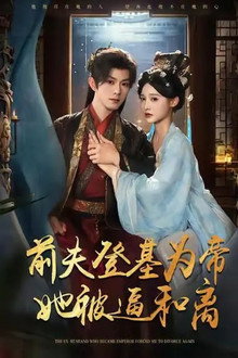 前夫君登基为帝，她被逼和离 poster
