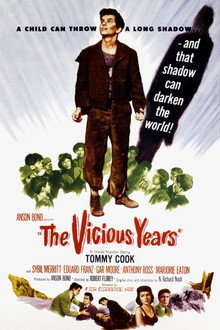 The Vicious Years poster