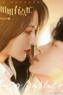 姐姐有点忙 poster