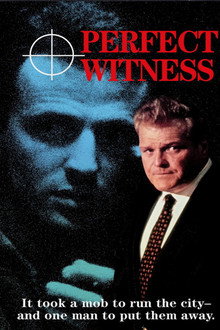 Perfect Witness poster