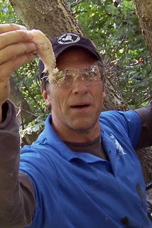 Vomit Island Workers