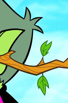 Head Fruit