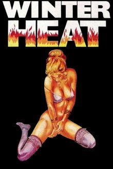 Winter Heat poster