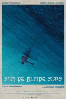 Brawling in Blindspots poster