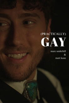 (Practically) Gay poster