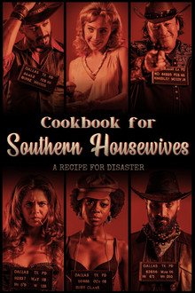 Cookbook for Southern Housewives poster