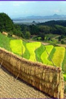 Japan's Secret Garden