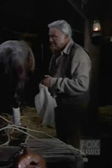 The Saddle Stiff