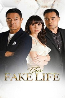 The Fake Life poster