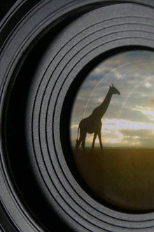 Animal Espionage