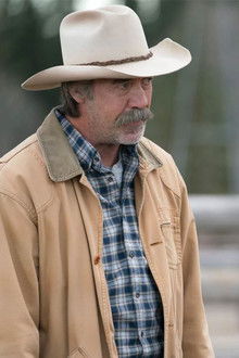 Forest for the Trees