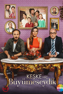 Keşke Hiç Büyümeseydik poster