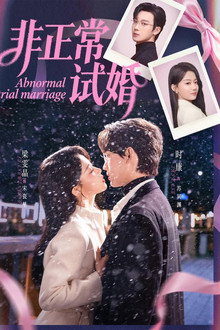 非正常试婚 poster