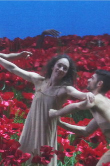 Great Performances at the Met: Prince Igor