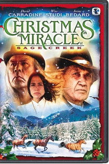 Miracle at Sage Creek poster
