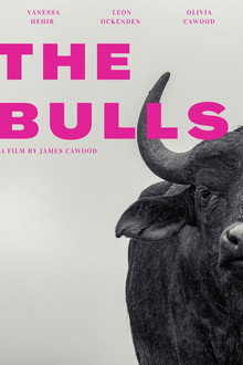 The Bulls poster