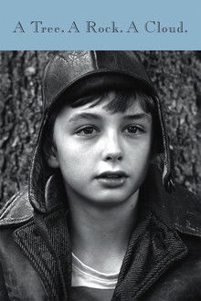 A Tree a Rock a Cloud poster