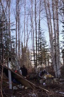 K'i Tah Amongst the Birch poster