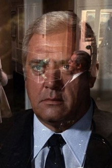 In the Forests of the Night