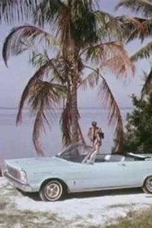 Flipper and the Spy