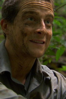 Jungle (2)