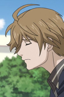 Flamenco vs. Fake Flamenco